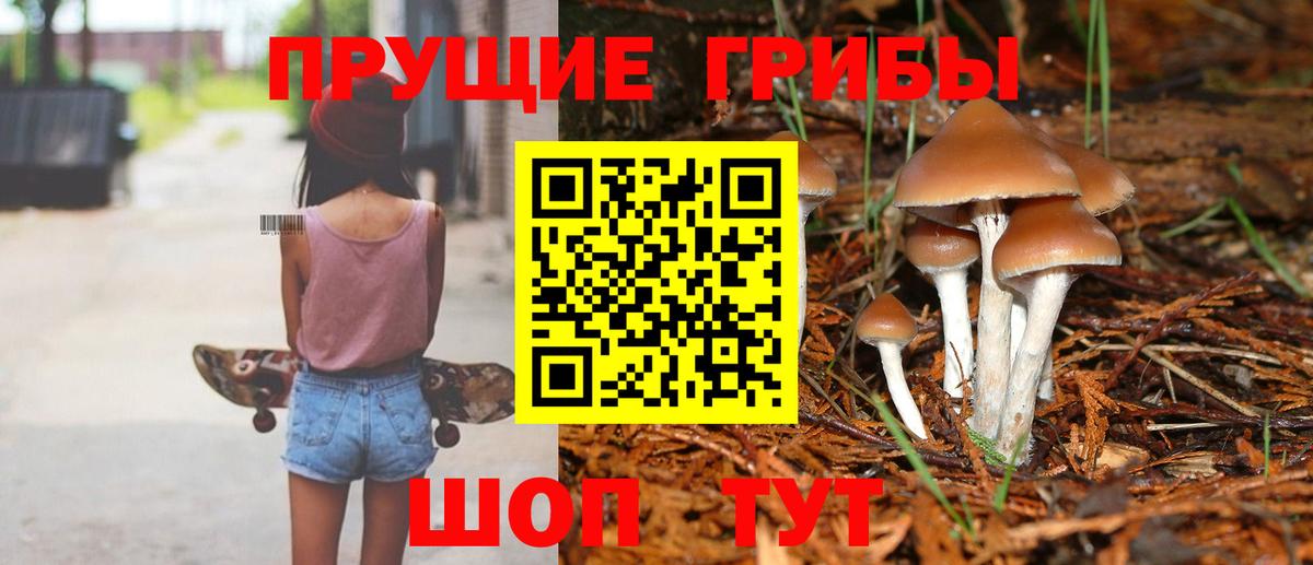 Псилоцибиновые грибы ЛСД  Вход с VPN  Будённовск 